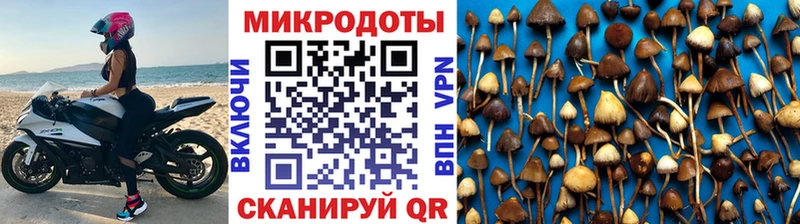 Псилоцибиновые грибы мухоморы  Купить где  Мамадыш 